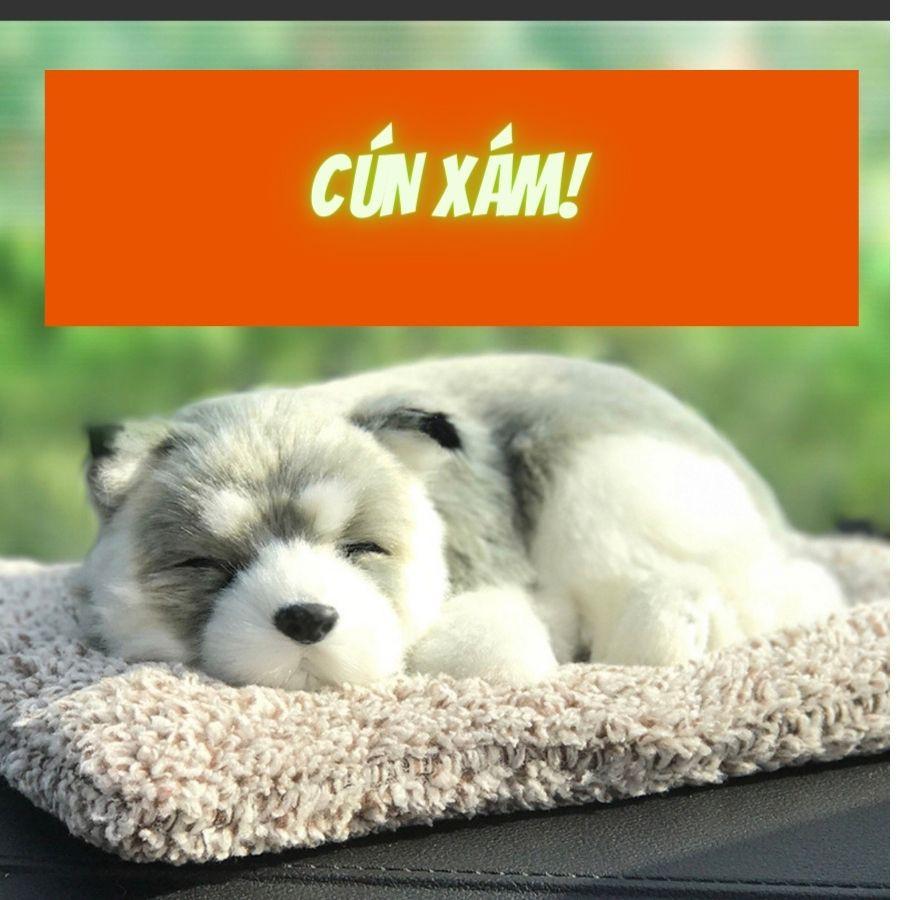 Thú bông đang ngủ dễ thương trang trí taplo ô tô, xe hơi, bàn làm việc, văn phòng