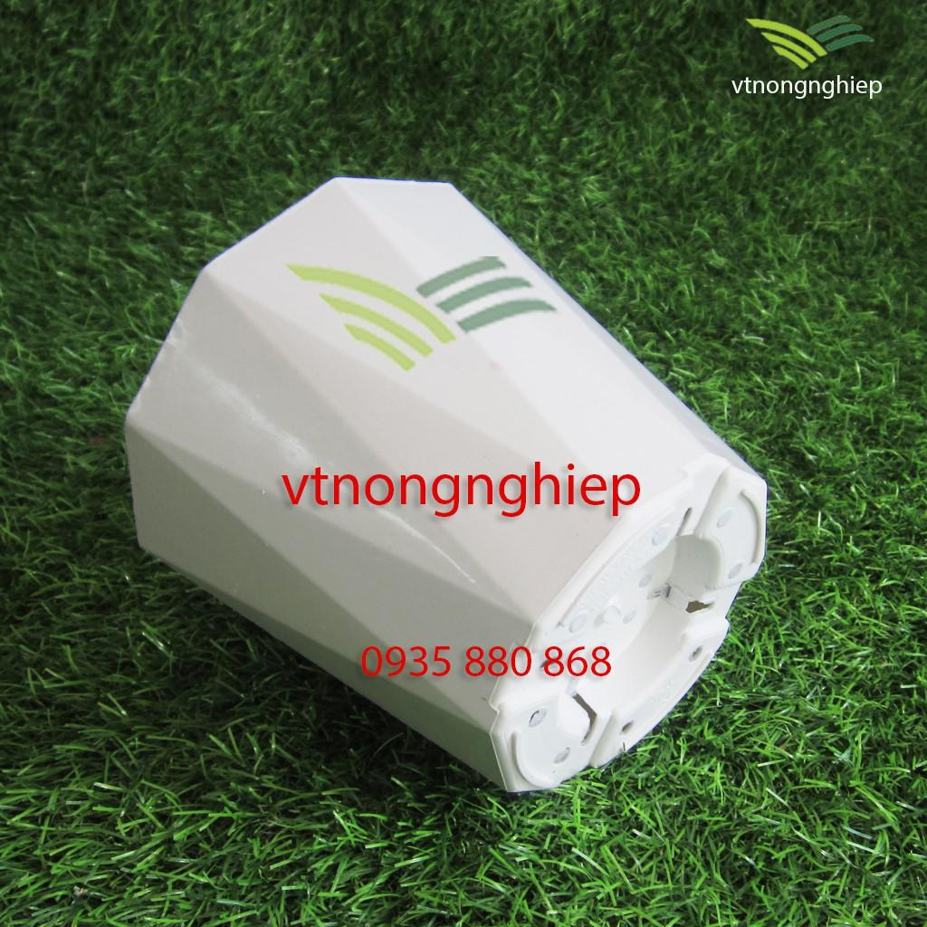 Chậu trồng cây, Ly 10 Cạnh, đường kính 15cm, cao 13cm