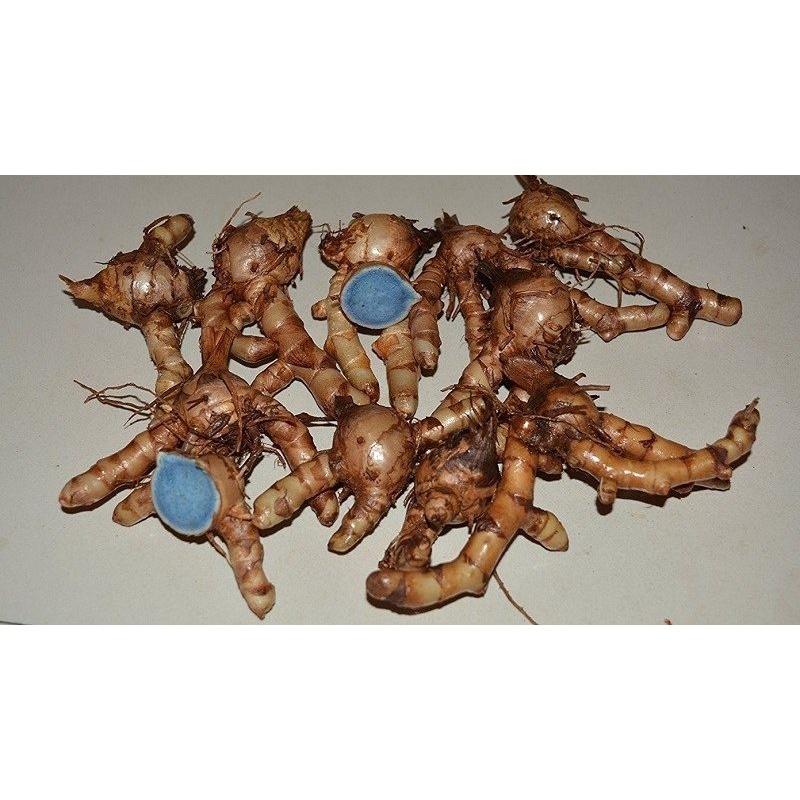1 KG BỘT NGHỆ ĐEN