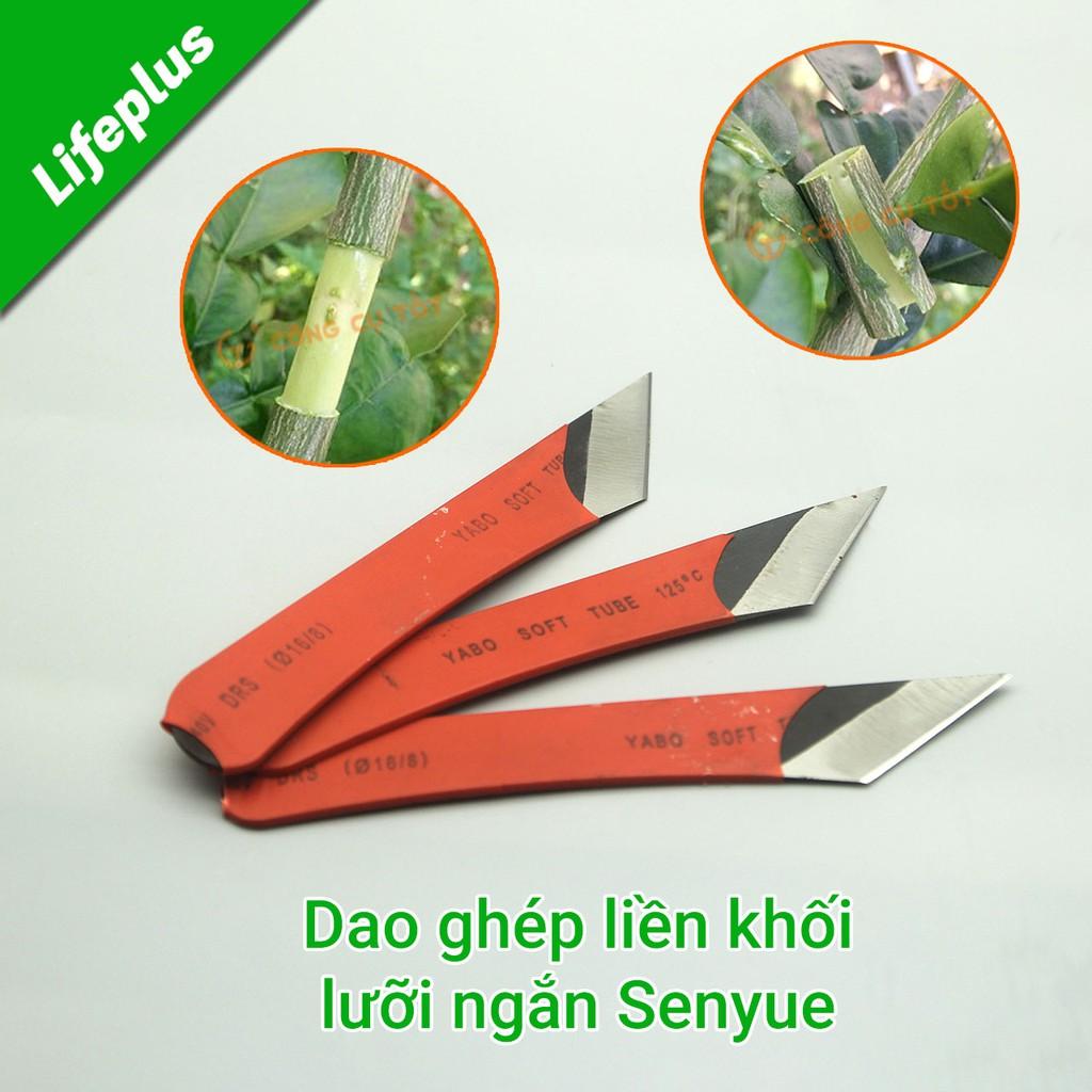 Dao ghép liền khối cán ngắn Senyue