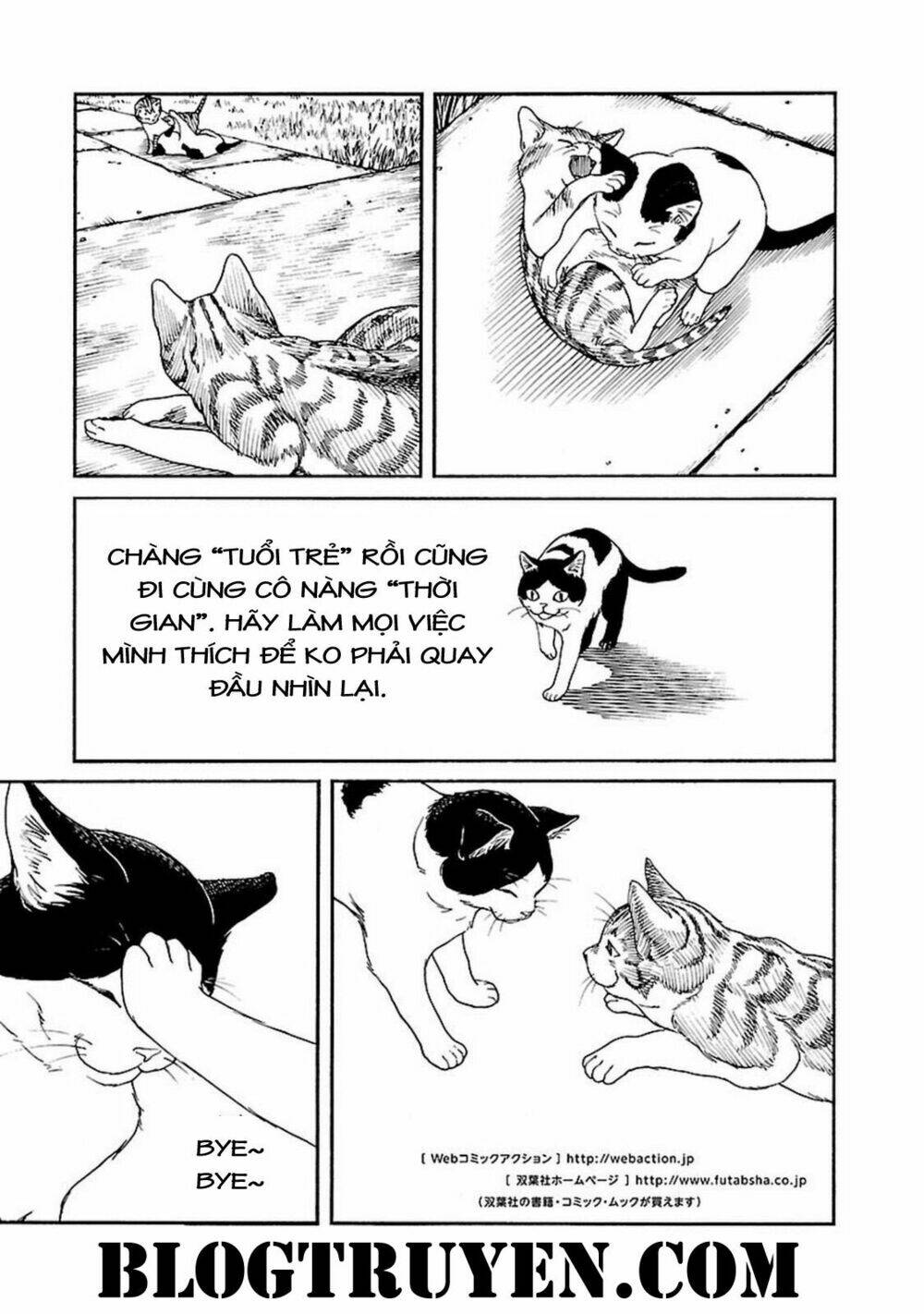 fujiyamasan wa shishunki chapter 68 6