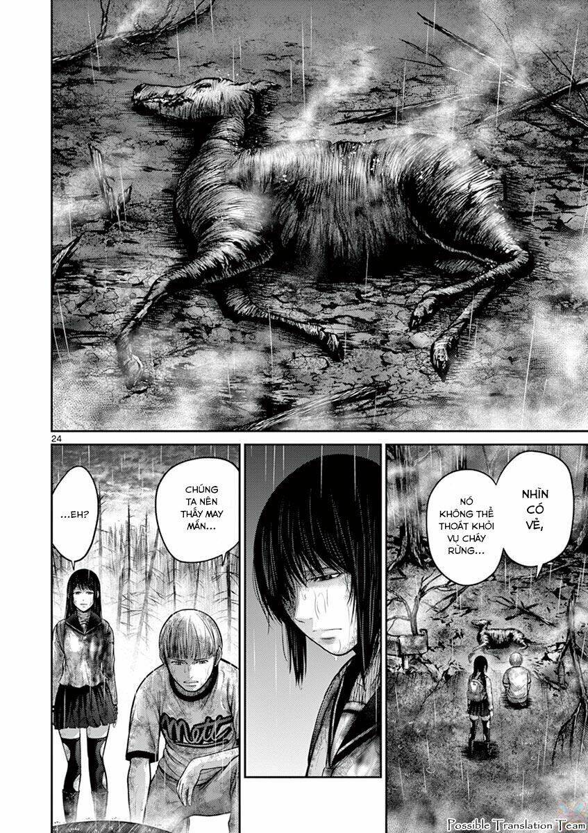 imawa no michi no alice: alice on border road chapter 25 25