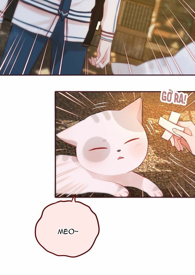 trú dạ liên miên chapter 9 17