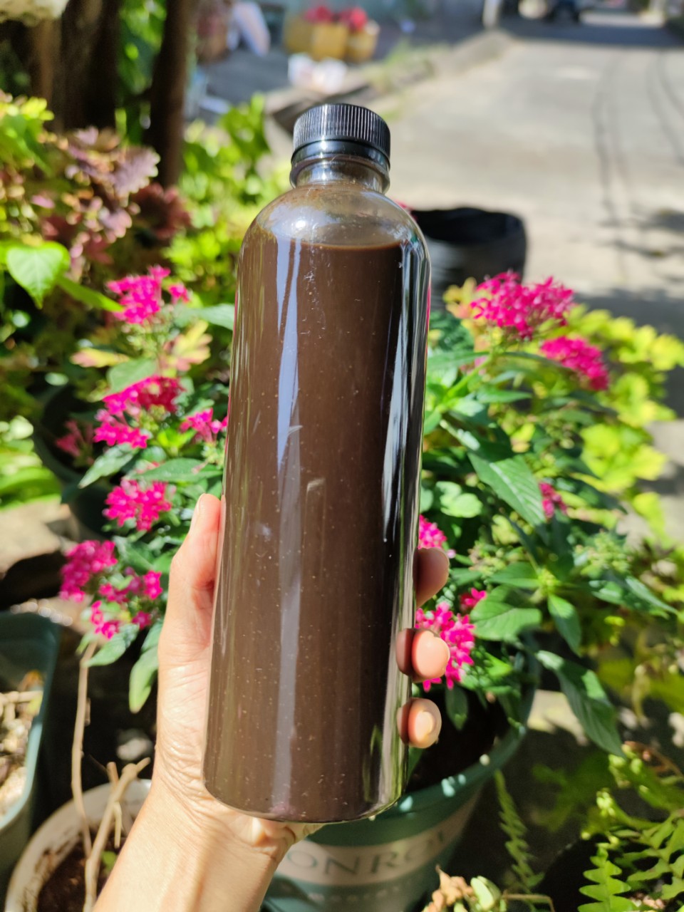 Chai 500ml - Phân bón cao cấp cho hoa hồng