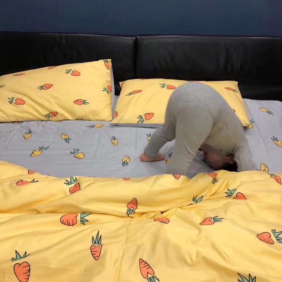Set Chăn Ga Gối Cotton Living Cao Cấp