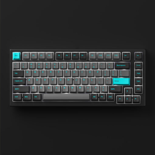 Bàn phím cơ có dây Akko MonsGeek MG75 Black & Cyan - Hàng chính hãng