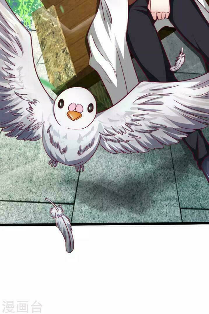 từ chối kết hôn với đại gia: cô dâu bỏ trốn chapter 44 20