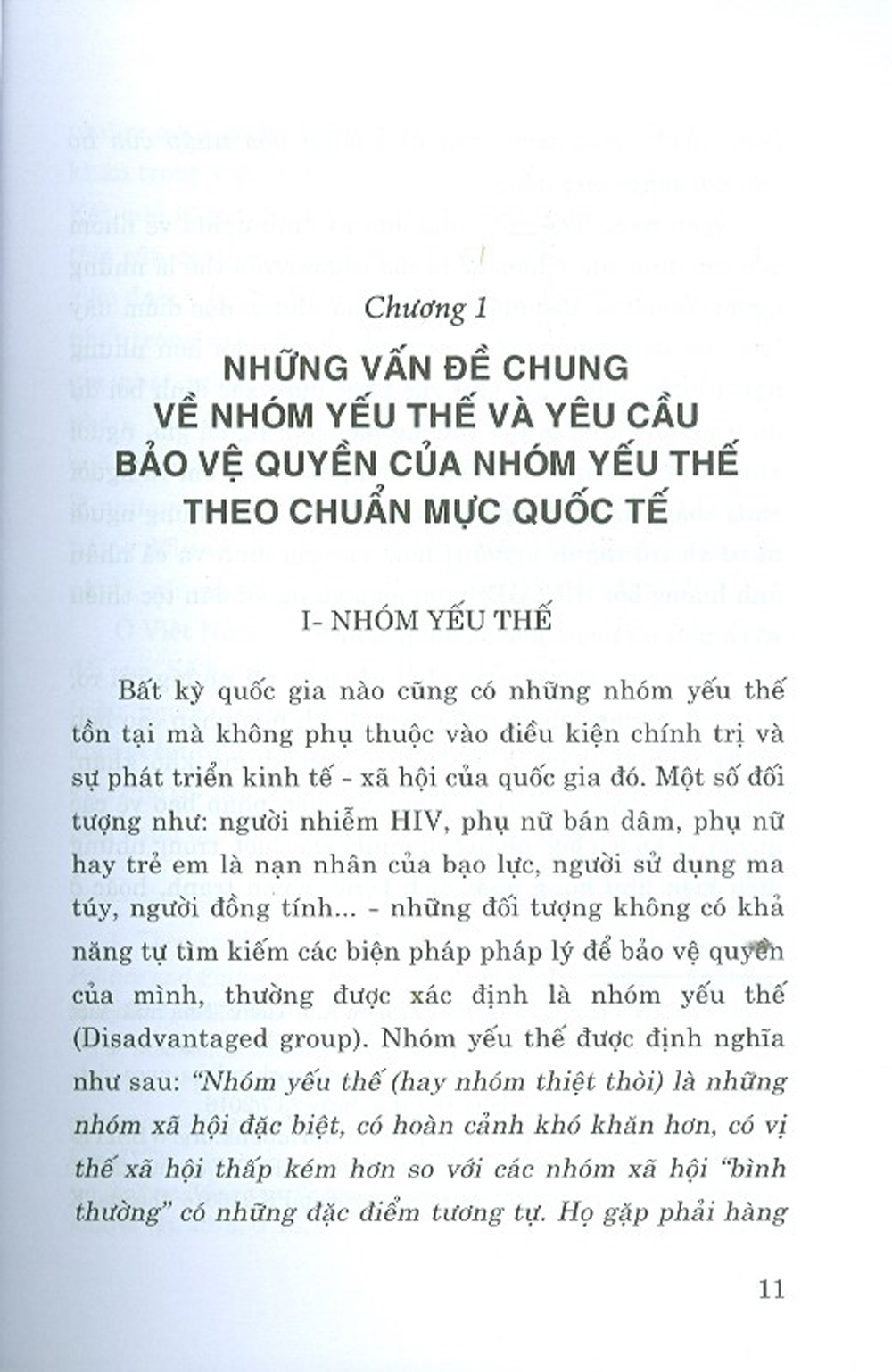 Bảo Đảm Quyền Của Nhóm Yếu Thế Khoảng Trống Pháp Lý Và Khuyến Nghị Cho Việt Nam (Sách chuyên khảo)