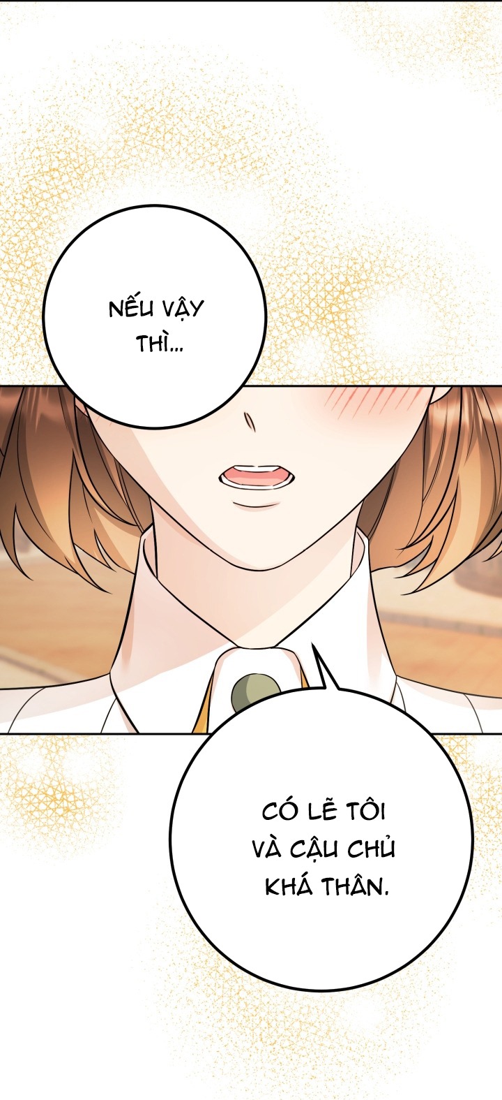 [18+] nếu cứu rỗi một cầm thú hư hỏng chapter 45.2 15