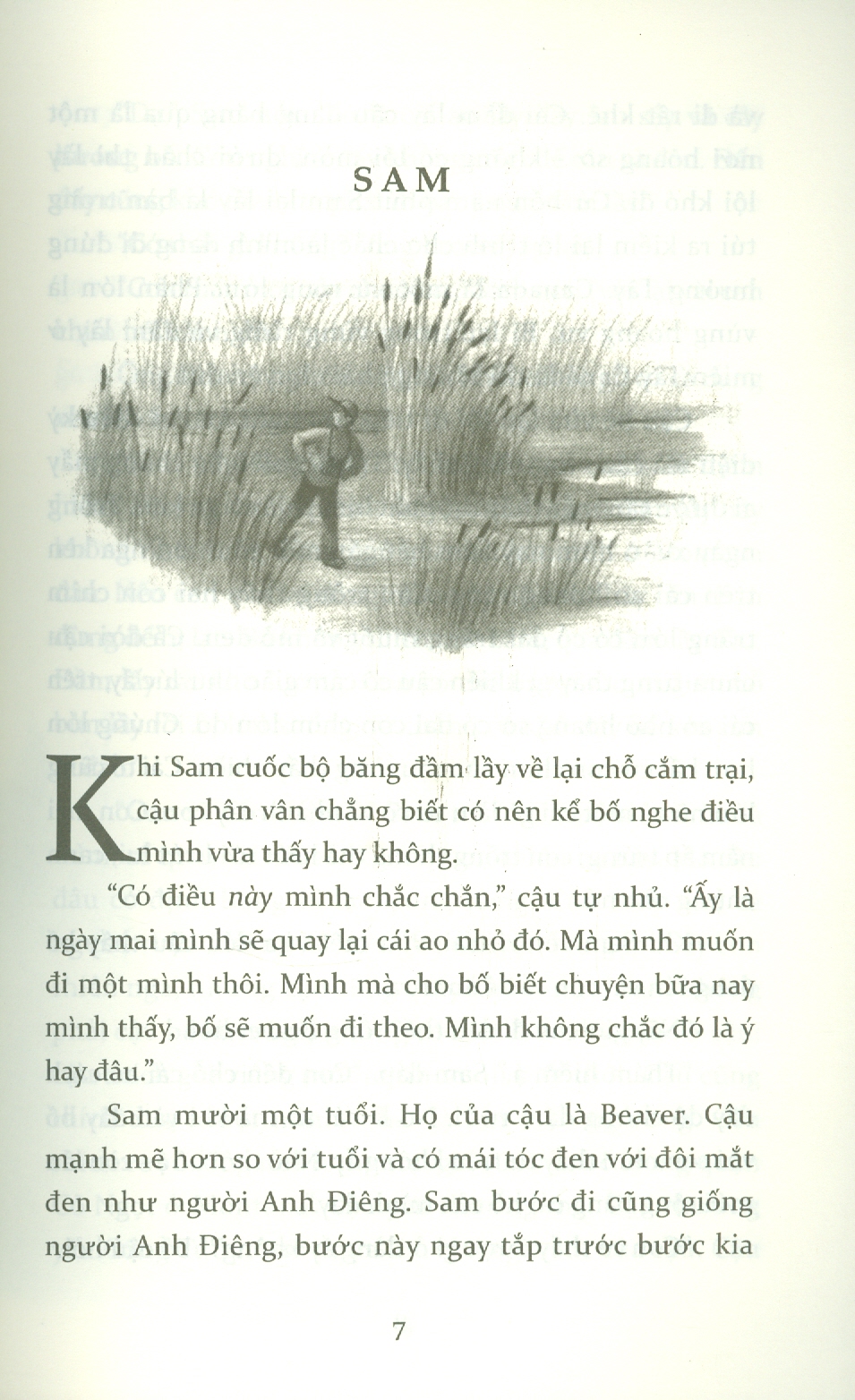 Tiếng Kèn Thiên Nga - E. B. White - Thiên Nga dịch -
