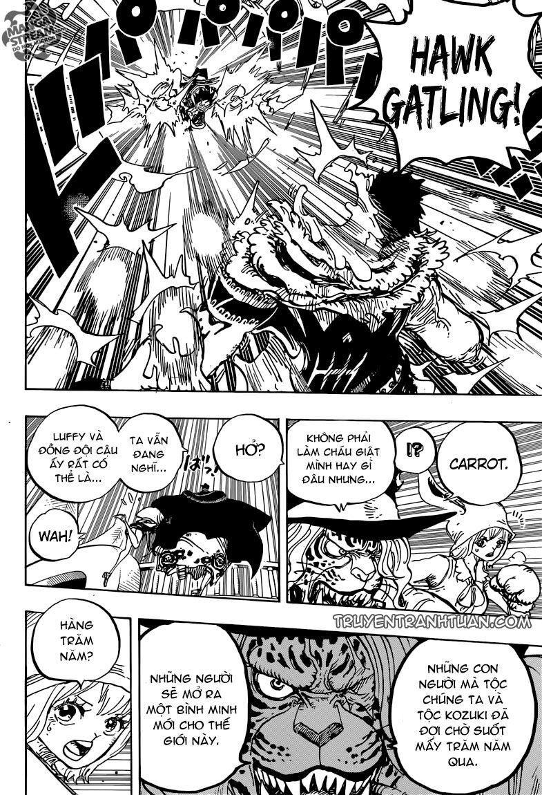 đảo hải tặc - one piece chapter 877 11