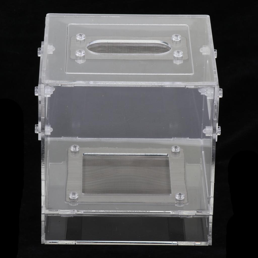 Small Reptile Lizard Spider Scorpion Insect Vivarium Feeding Rearing Box