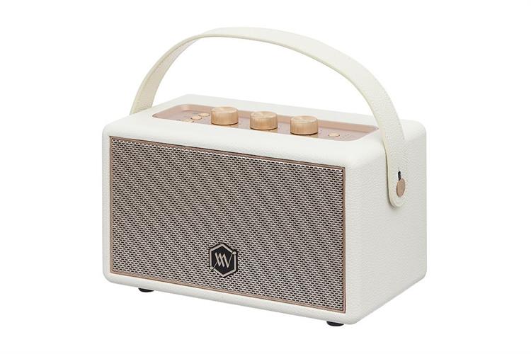 Loa Bluetooth Alpha Works AW-W89 - Hàng chính hãng