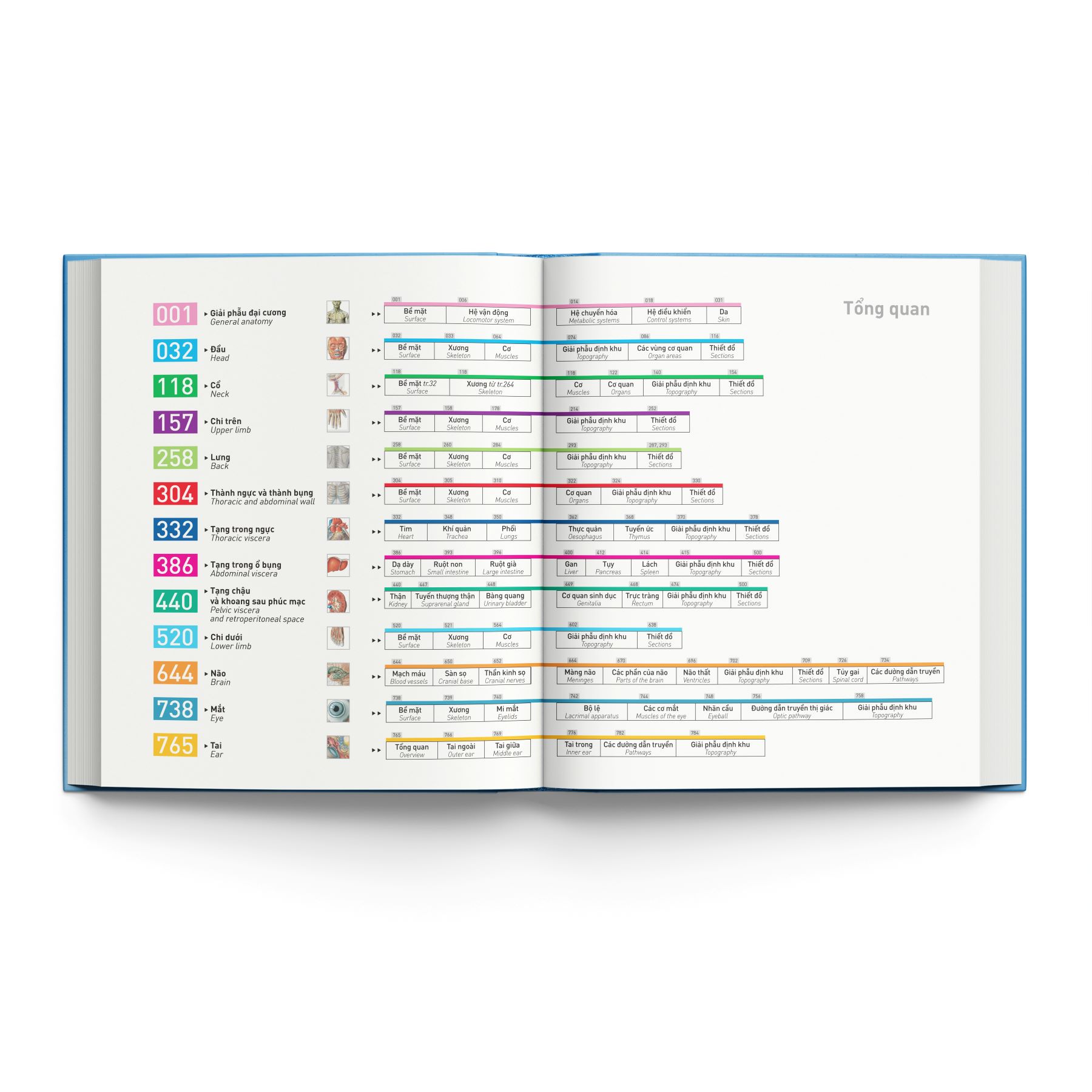 Sobotta Atlas Giải Phẫu Người