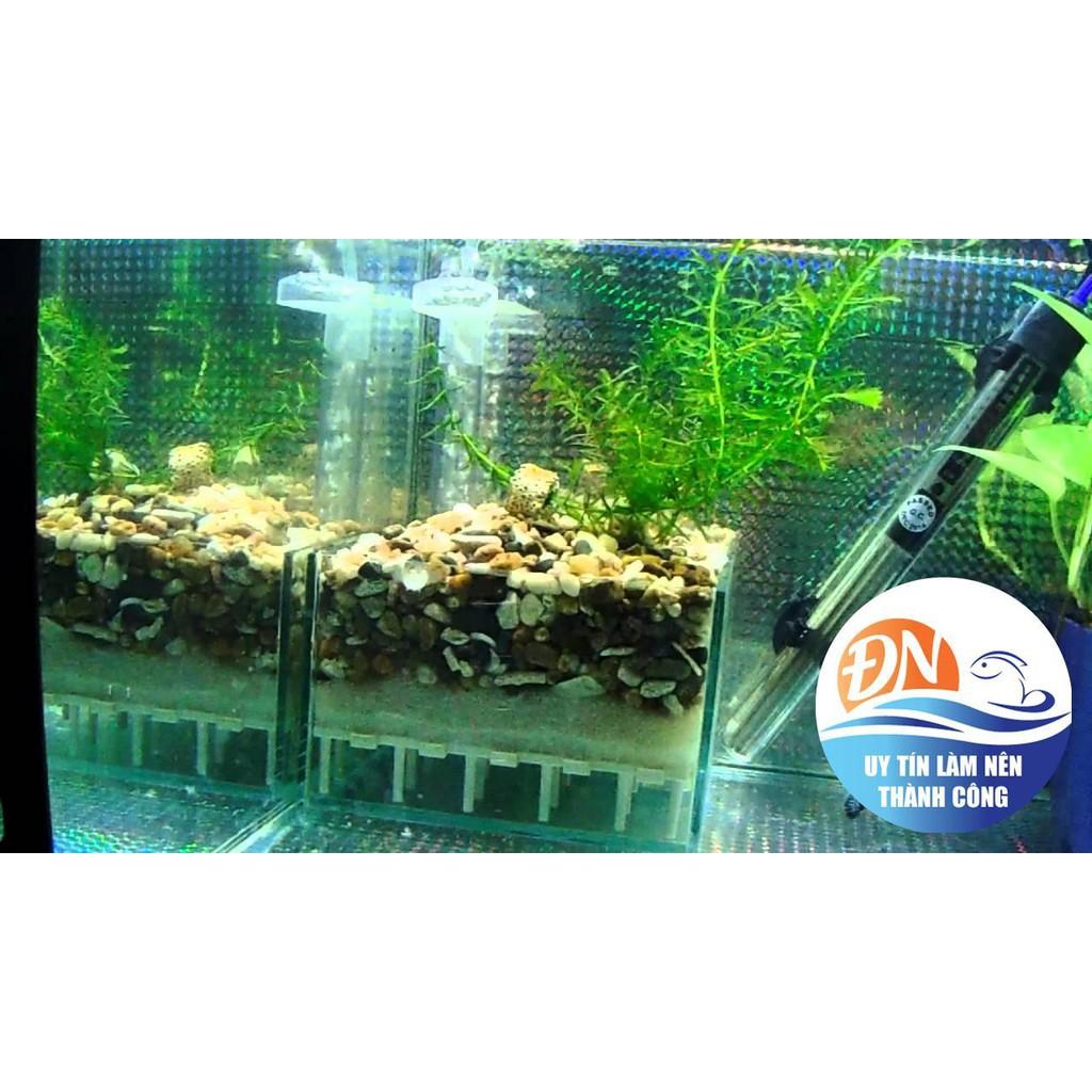 Full Bộ Lọc Đáy Taiwan Trọn Bộ Vĩ + Mỏ Vịt
