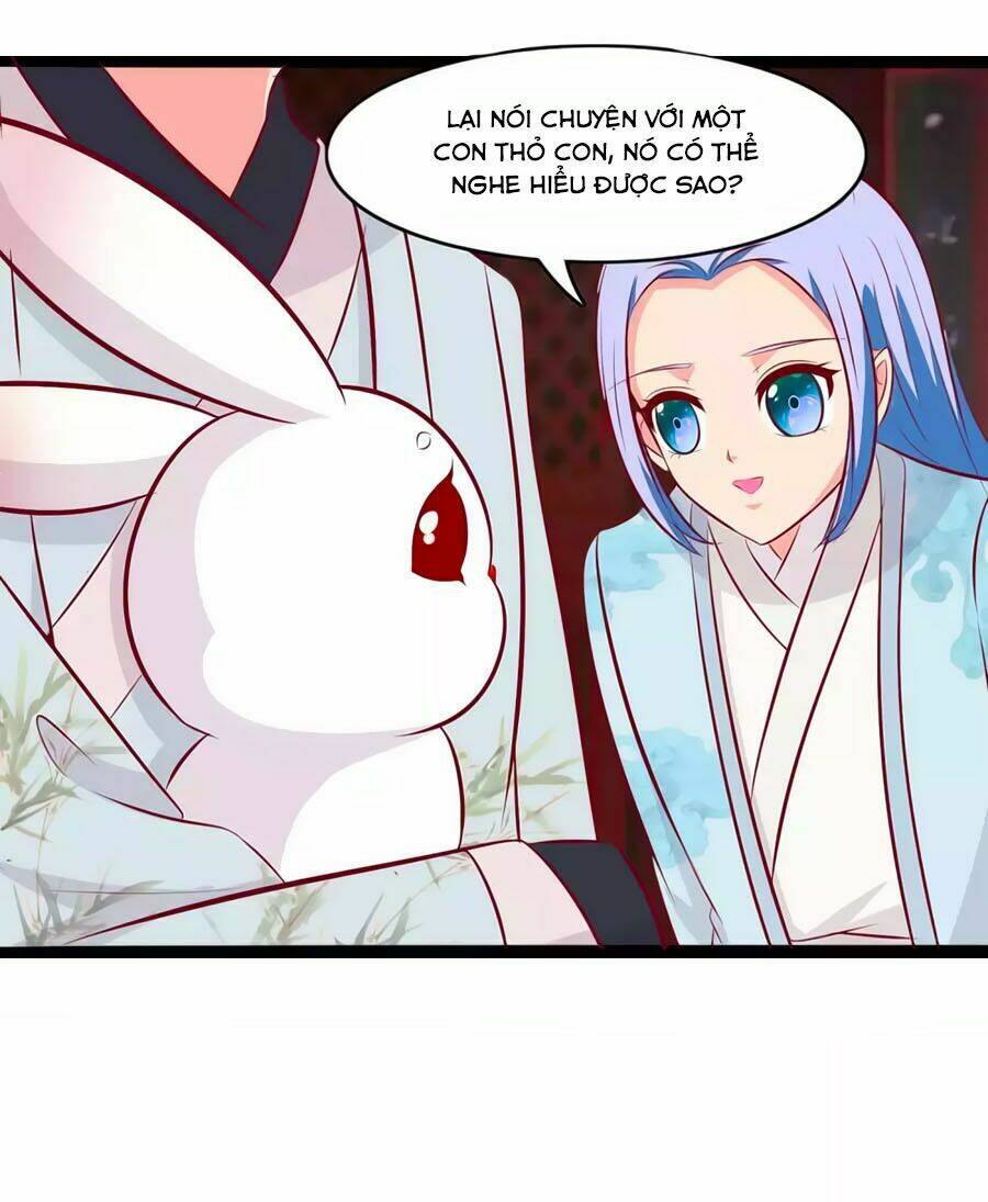 thỏ yêu tiểu vương phi chapter 78 24