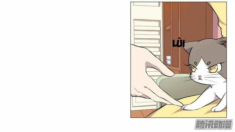 hai chú mèo totem chapter 36 5