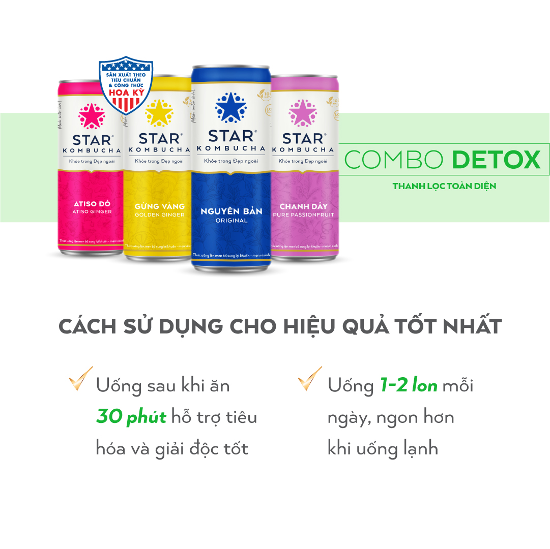 Combo 4 lon mix vị Thức uống lên men STAR KOMBUCHA - Detox Pack (250ml/lon)