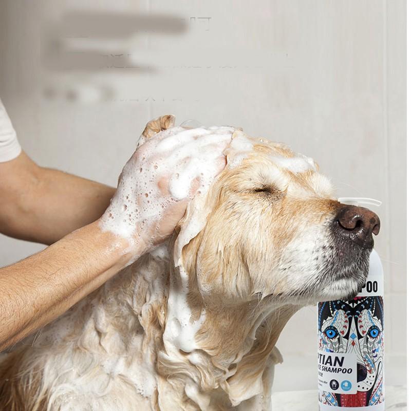 Sữa tắm chó mèo Sampoo – Chiết xuất từ tinh dầu Ai Cập chất lượng cao – Dưỡng lông, ngừa bênh về da-500ml