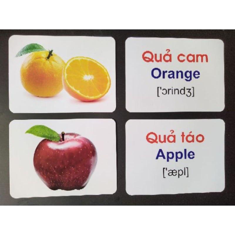 Bộ Thẻ Học Thông Minh 18 Chủ Đề TGXQ loại To song ngữ A-V loại chuẩn Glenn Doman Flashcard cho bé từ 0-6 tuổi