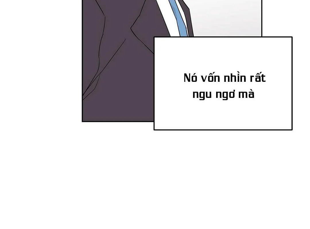 guide cấp b chapter 15 149