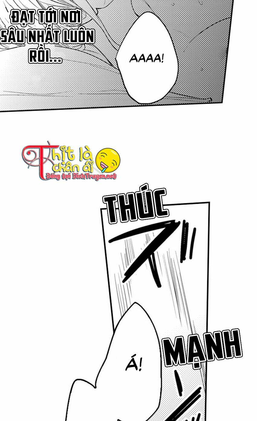 giả vờ ngủ cũng không ngăn được anh ấy chapter 12 24