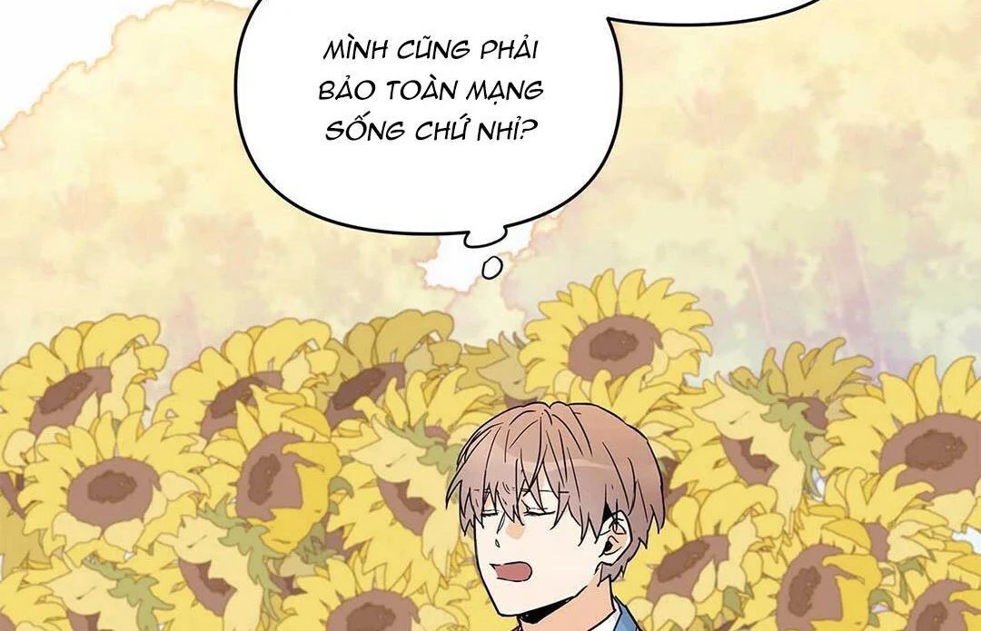 guide cấp b chapter 14 3