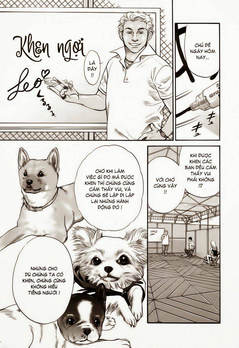 cô nàng yêu chó chapter 36 9