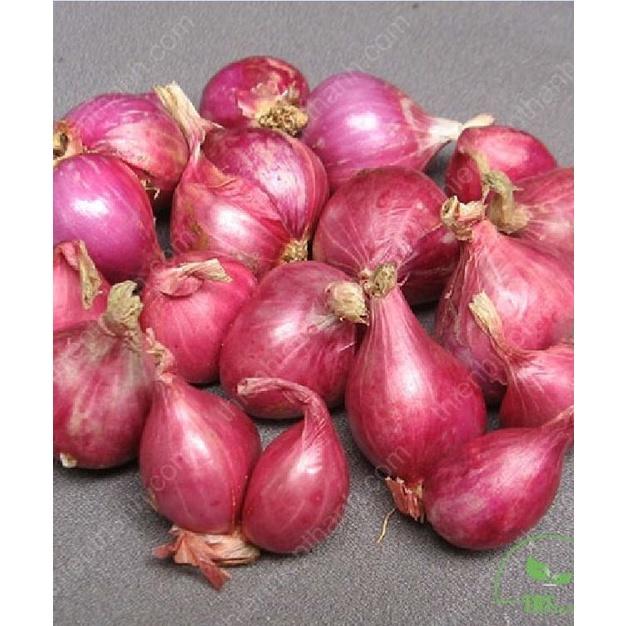 Hạt giống hành lá cao sản gốc tím KNS3215 - Gói 2gram