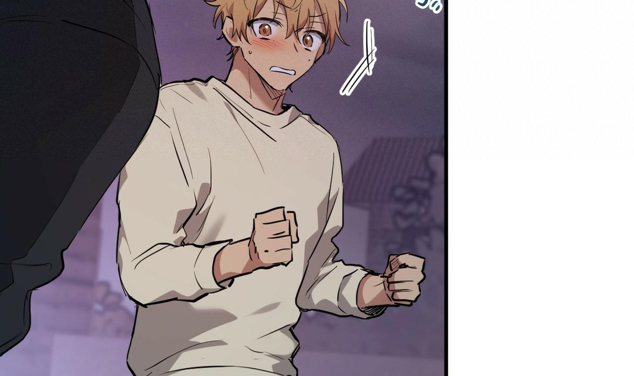 đàn thỏ của habibi chapter 37 235