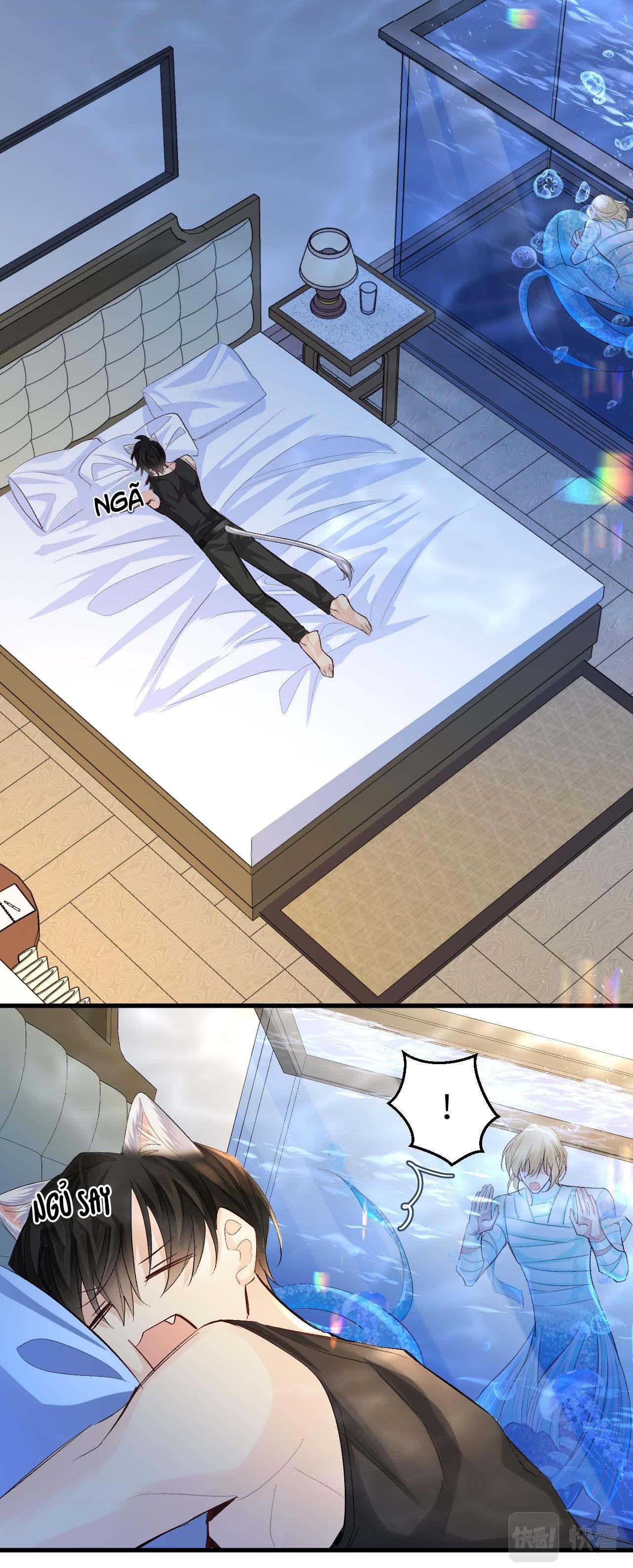 nhân ngư sa ngã chapter 23 23