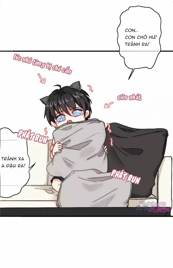 thập quang mật ngữ chapter 13 4