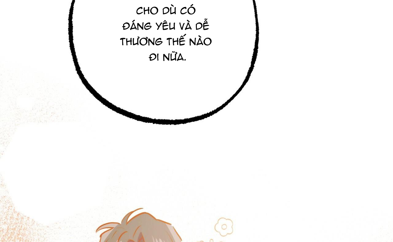 đàn thỏ của habibi chapter 41 20