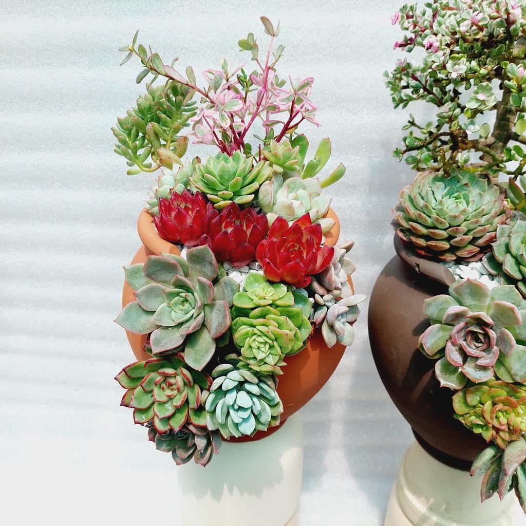 Chậu đất nung Bình Dương - Chum cao cắt vân mây, miệng chậu 14cm, chiều cao 20cm