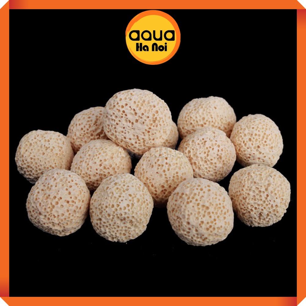 Sứ bi vàng - Vật liệu lọc làm trong nước hồ cá Koi, cá rồng, thủy sinh - 100g/500g