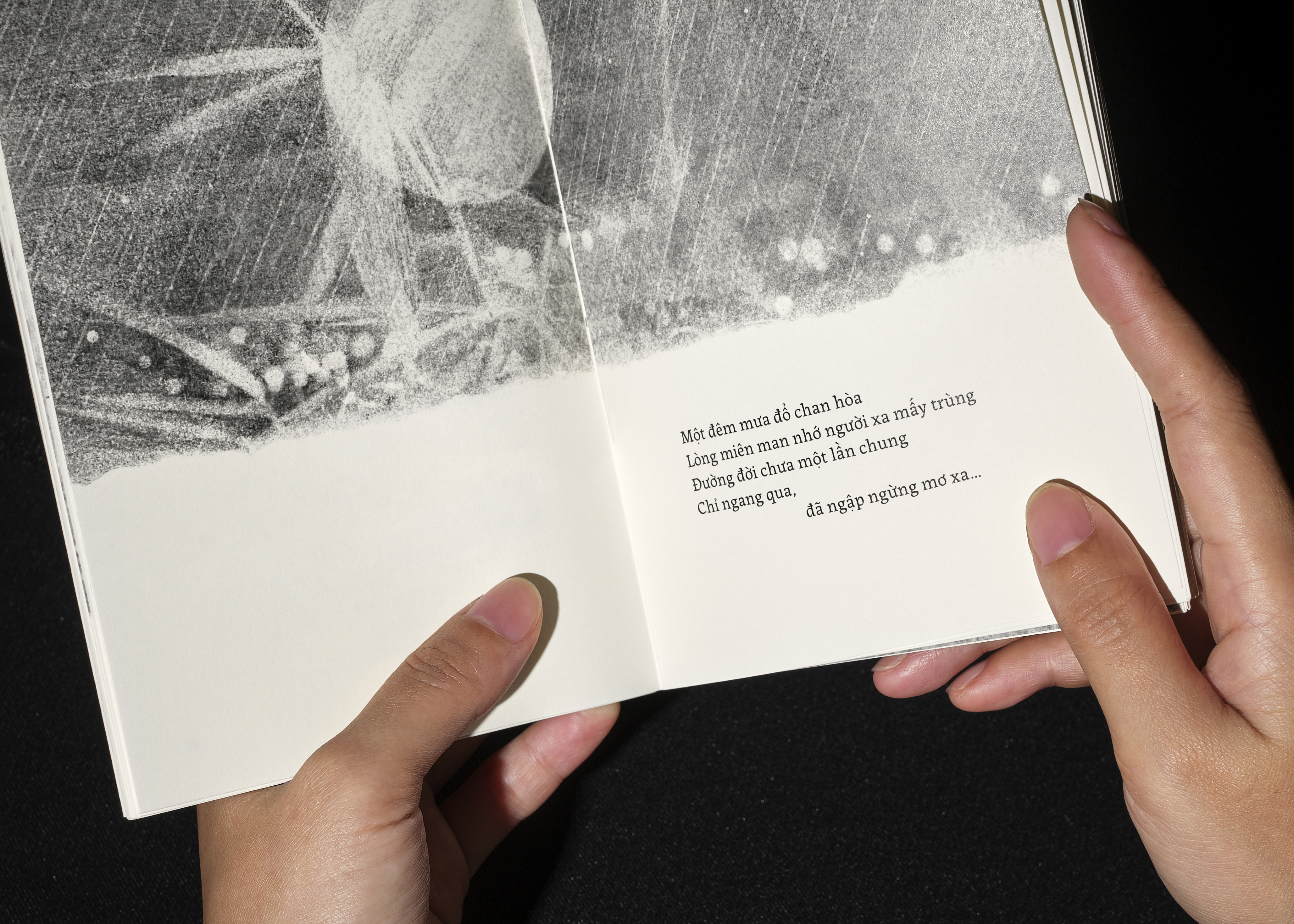 Sách Thơ - Người Là Một Bóng Chim Khuê Tú (Nguyễn Thiên Ngân) - Bìa Cứng
