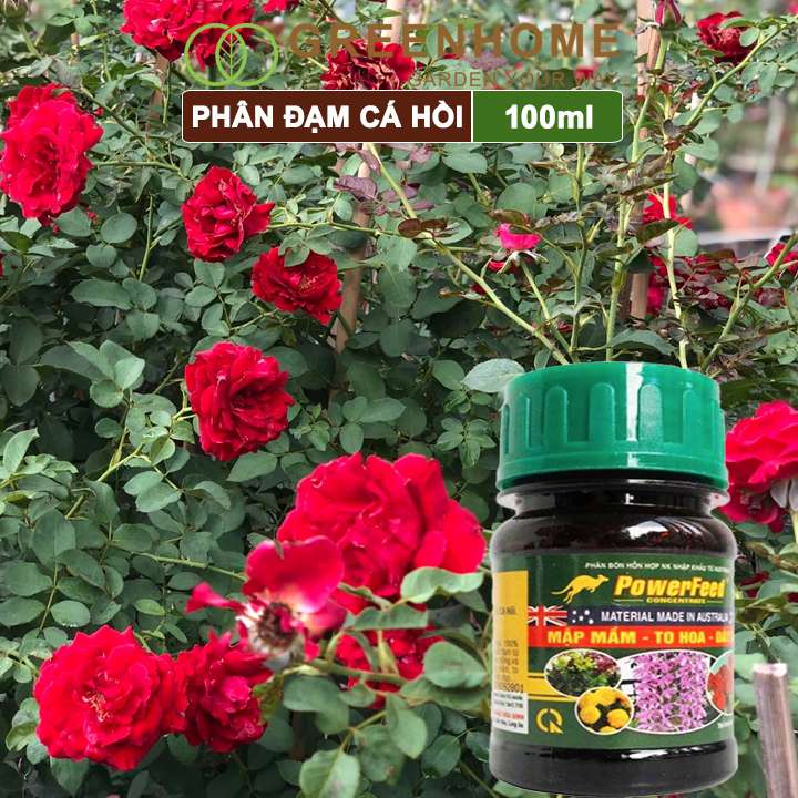 Phân đạm cá Powerfeed, chai 100ml, chiết xuất cá hồi, mập mầm, to hoa, dày cánh |Greenhome