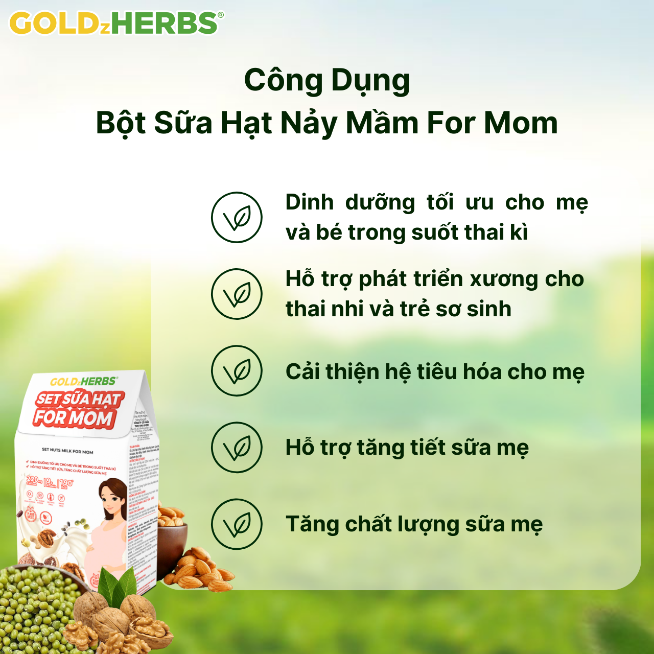 Set sữa hạt cung cấp dưỡng chất toàn diện cho mẹ mang thai và cho con bú GoldzHerbs For Mom – 14 gói/ 500g