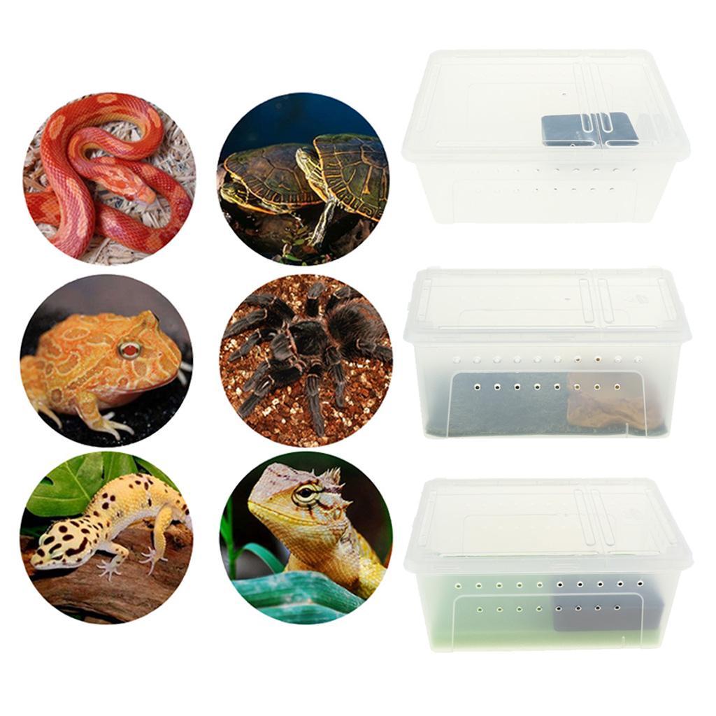 Reptile Amphibian Habitat Terrarium Vivarium Breeding Box