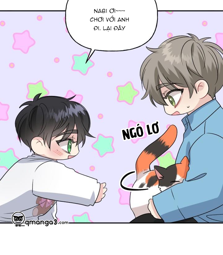 xác suất tình yêu chapter 56 73