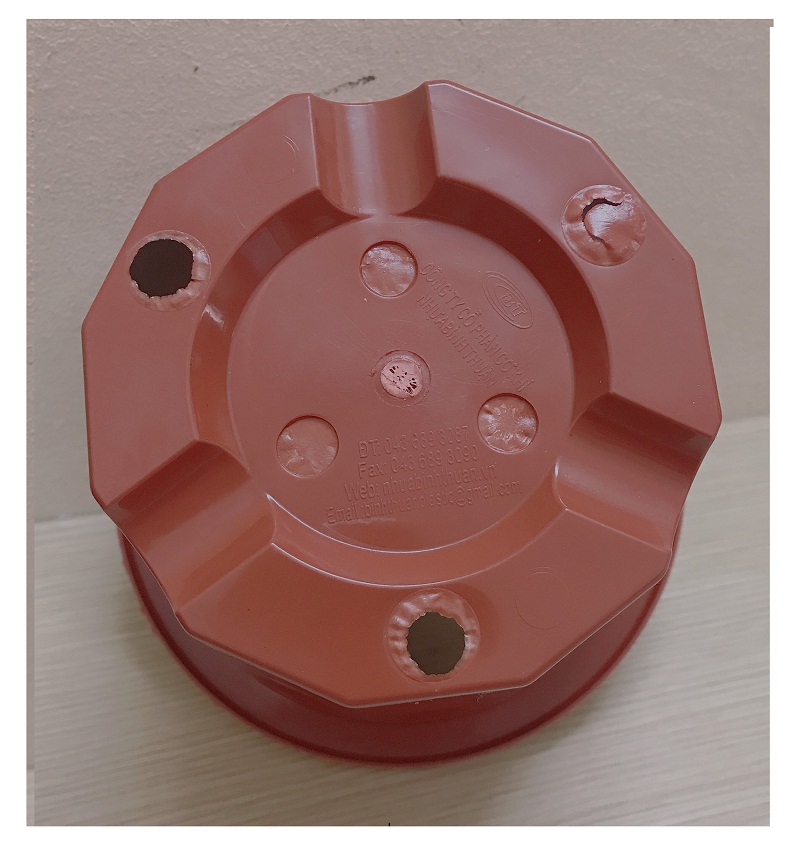 10 Chậu Nhựa Trồng Hoa, Cây Cảnh E230 Nhựa Bình Thuận