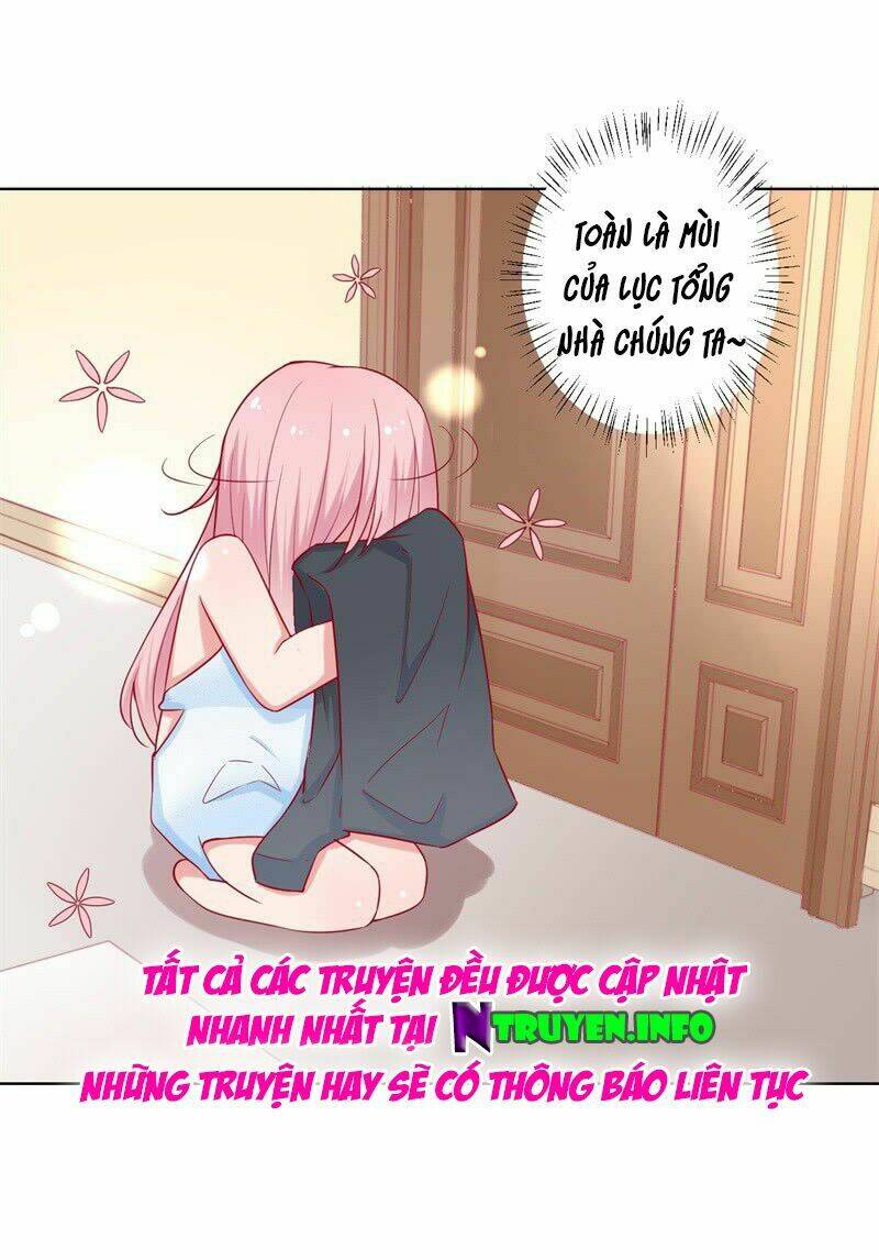 ngạo kiều tổng tài sủng điềm thê chapter 28 35