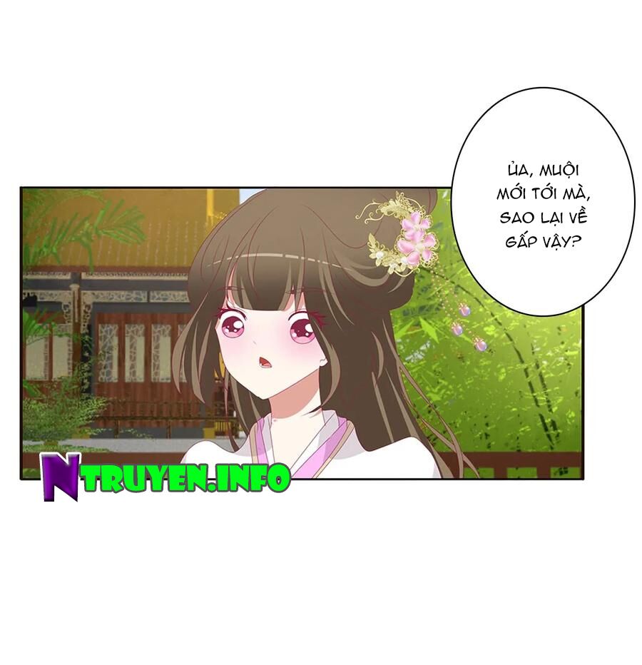 thông linh phi chapter 579 18