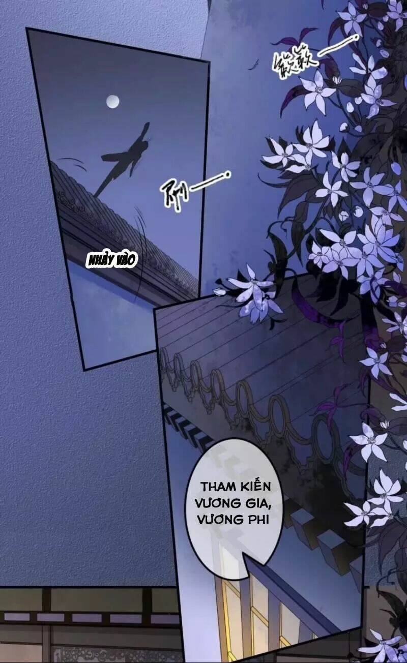 sủng phi của vương chapter 131 14