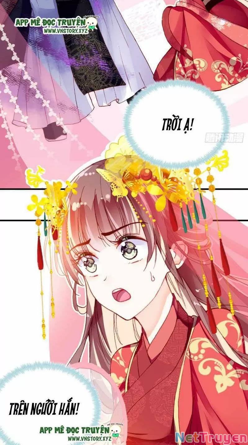 lại bị bệnh chiều chuộng quấn lấy chapter 2 24