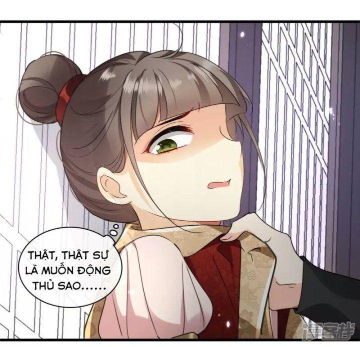 nụ cười của ngươi ngọt gãy tám cái răng của ta chapter 5 5