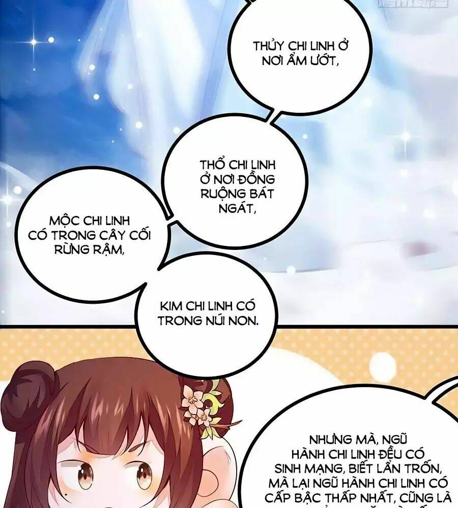 thần y khí nữ: ngự thú cuồng phi của quỷ đế chapter 61 26