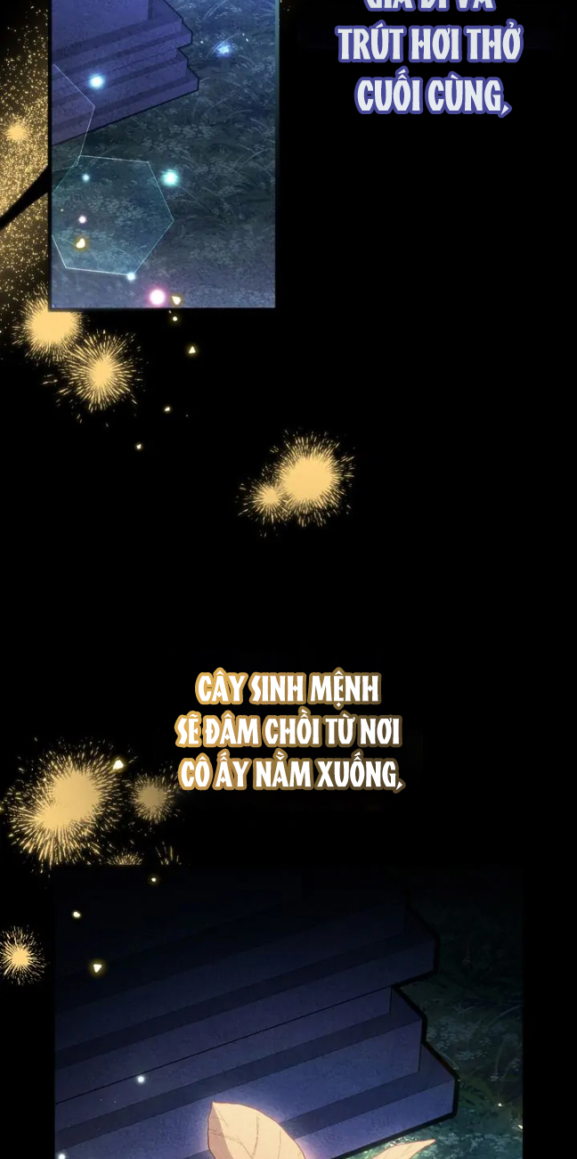 màn đêm tối của adeline chapter 77 14