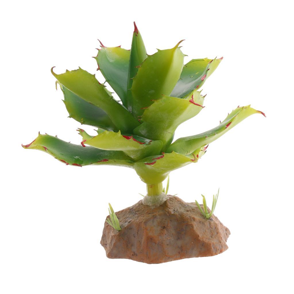 2 Piece Succulent Plant with Resin Base Reptile Terrarium Vivarium Ornament