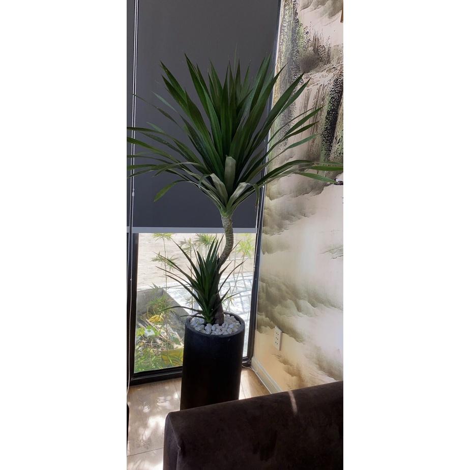 Chậu Phát Tài Núi 2 Tầng